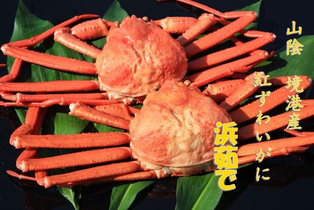 紅ずわいがに　中キズモノ3枚入(約1.1～1.4kg)