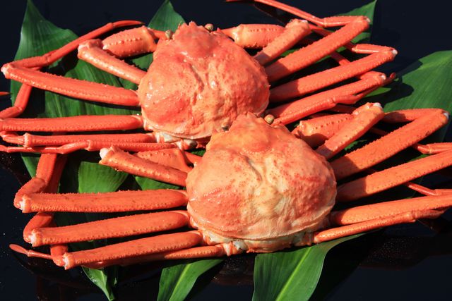 冷凍紅ずわいがに姿　2枚