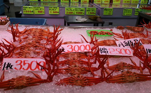 販売店舗紹介