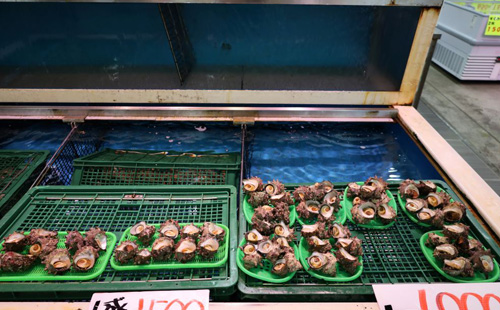 販売店舗紹介